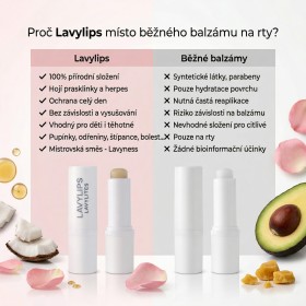 LavyLips