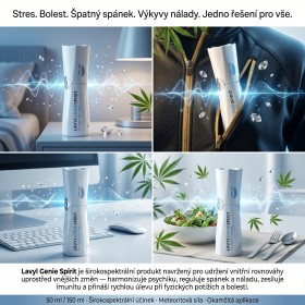 Lavyl Genie Spirit 150ml