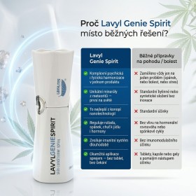 Lavyl Genie Spirit 150ml