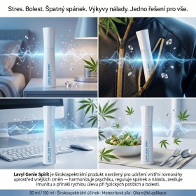 Lavyl Genie Spirit 150ml