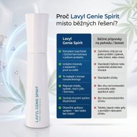 Lavyl Genie Spirit 150ml