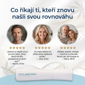 Lavyl Genie Spirit 150ml