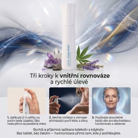 Lavyl Genie Spirit 150ml