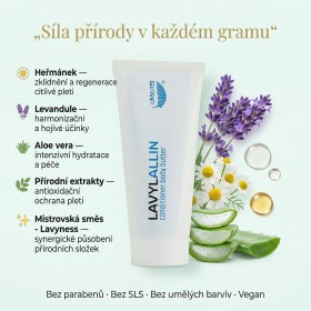 Lavyl Allin Tube 100 ml