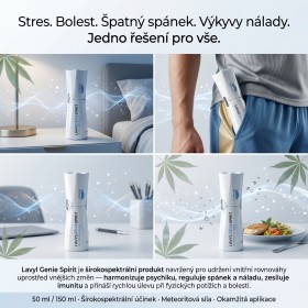 Lavyl Genie Spirit 50 ml