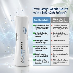 Lavyl Genie Spirit 50 ml