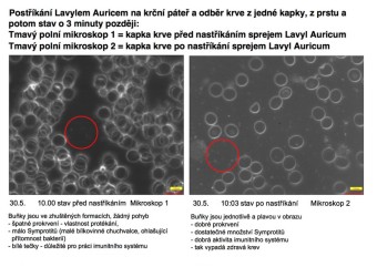 Lavyl Auricum 150 ml