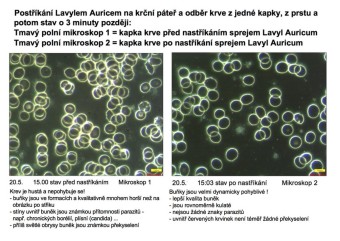 Lavyl Auricum 150 ml