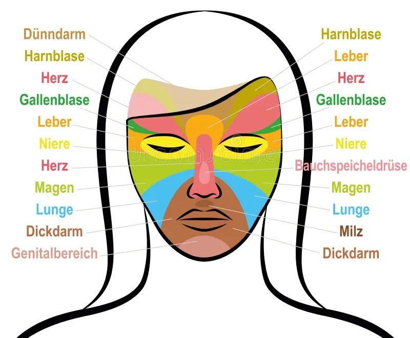 Welche bedeutenden Wirkungen haben unsere Produkte aus der Sicht der traditionellen chinesischen Medizin? - LAVYcosmetics.com