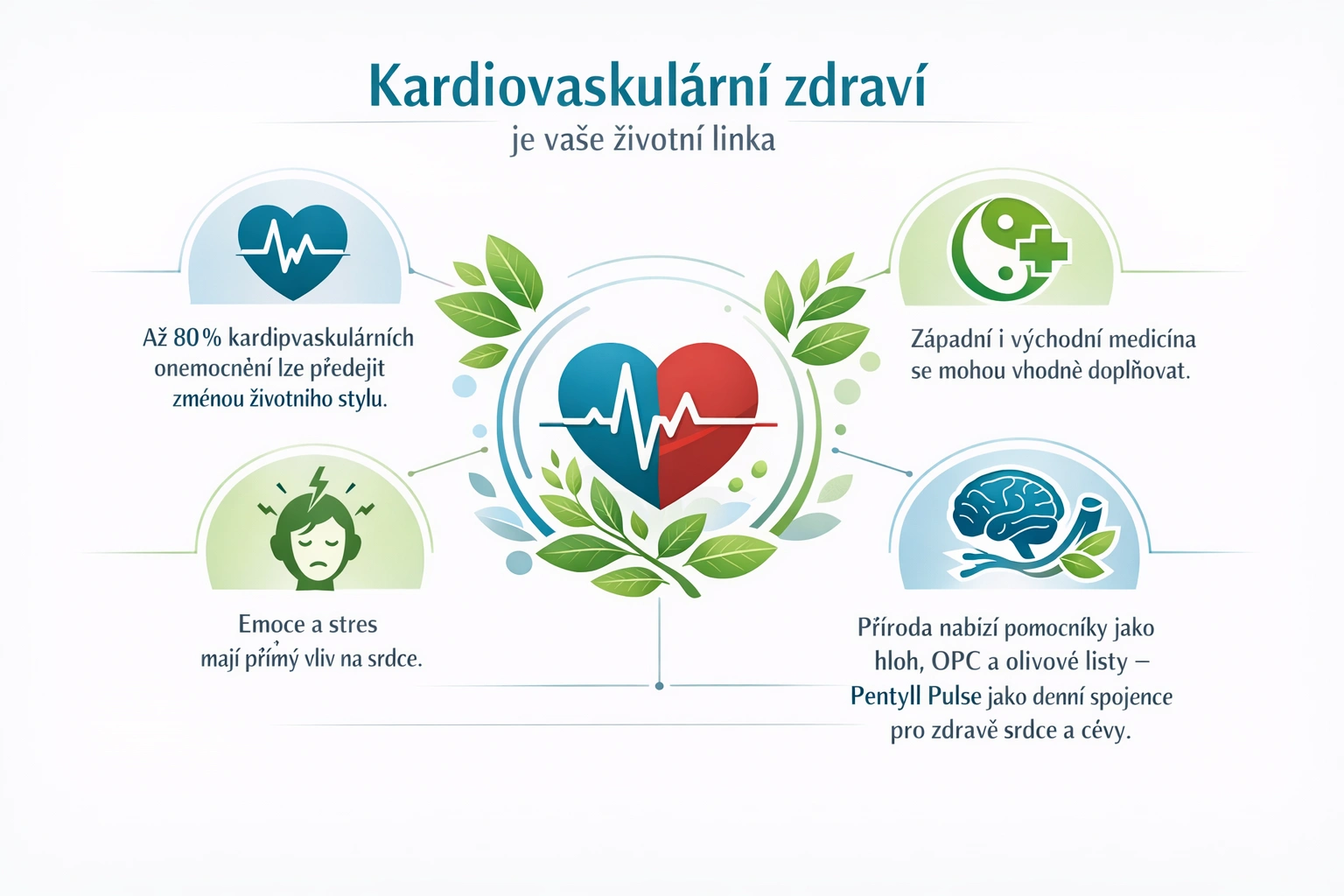 5 klíčových tipů pro zdraví kardiovaskulárního systému – prevence, strava, pohyb, stres, přírodní podpora