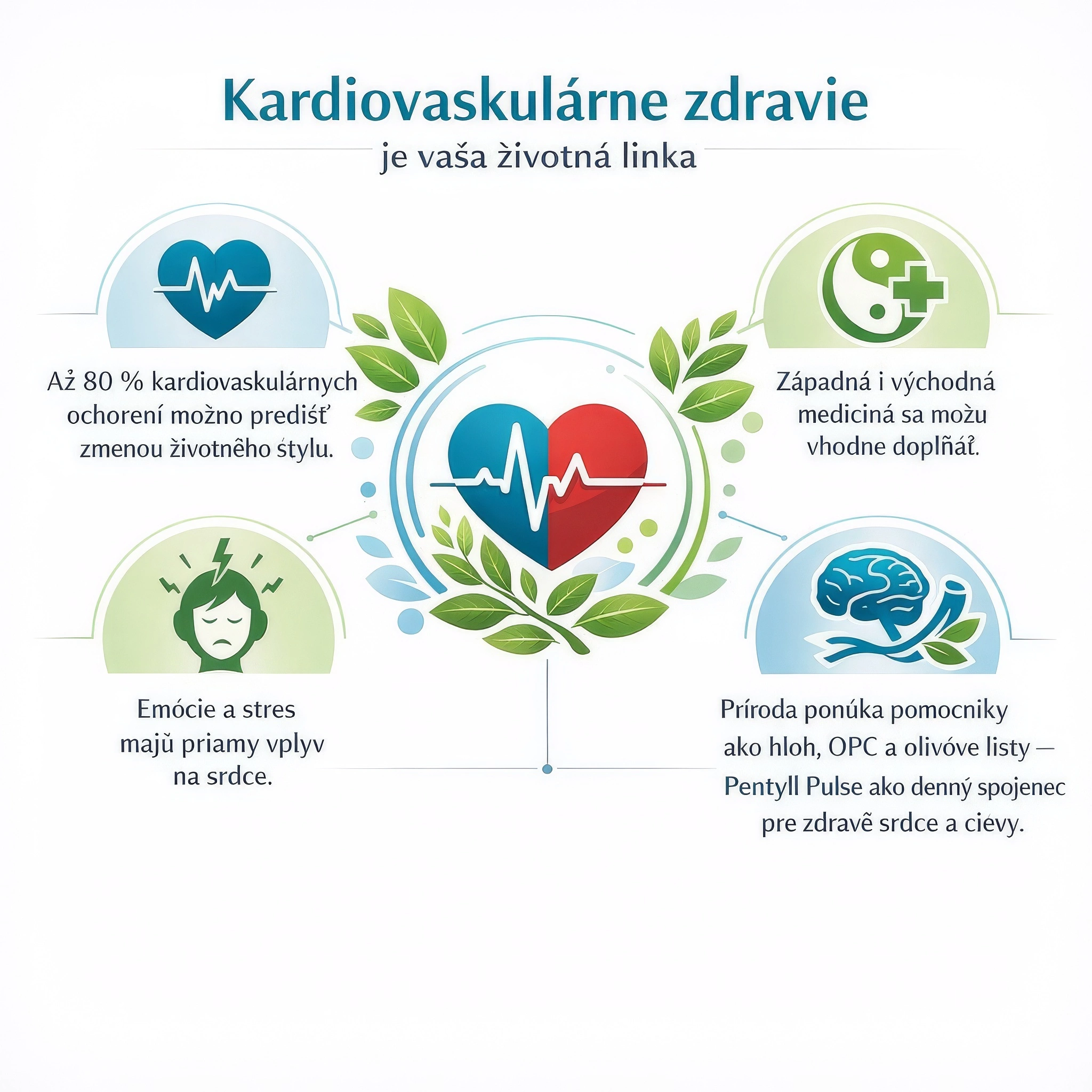 5 kľúčových tipov pre zdravie kardiovaskulárneho systému – prevencia, strava, pohyb, stres, prírodná podpora