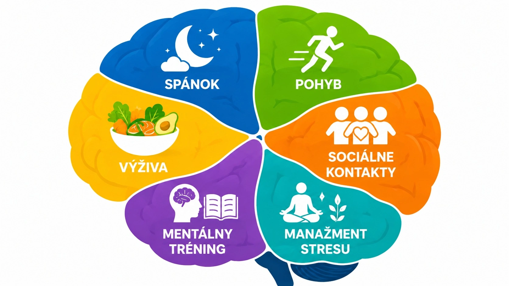 Infografika – 6 pilierov starostlivosti o zdravý mozog